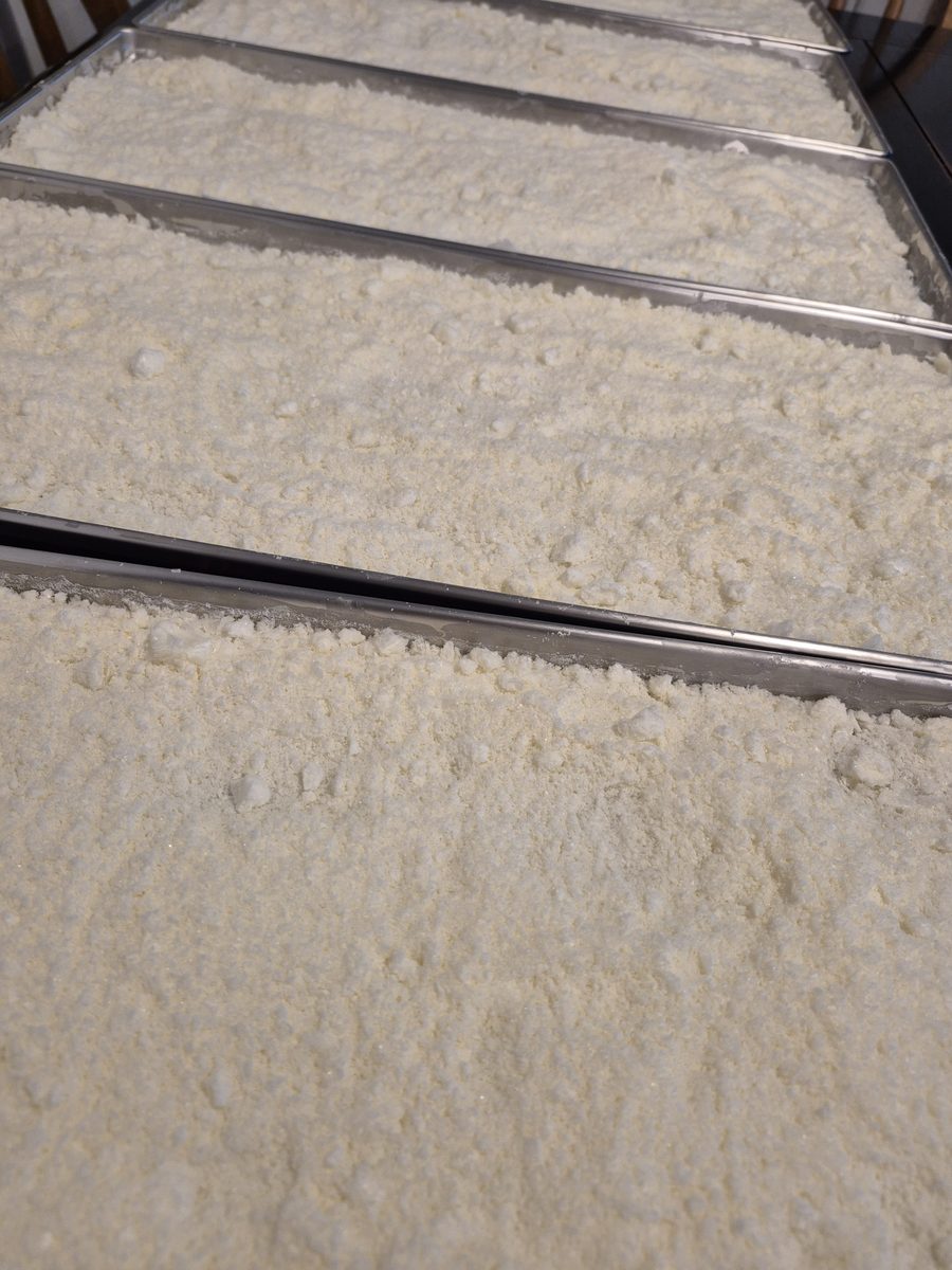 Freeze-dried breast milk powder on freeze dryer trays