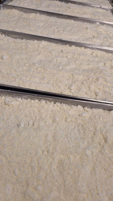 Fresh off the freeze dryer trays